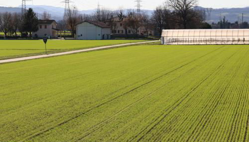 * * * * * Splendida casa di campagna - Photo 2