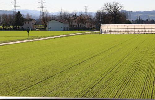 * * * * * Splendida casa di campagna - Photo 2