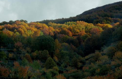 La Lancha del Jerte - Foto 23