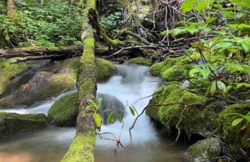 Nantahala River Luxury Escape-on the river! - Foto 13
