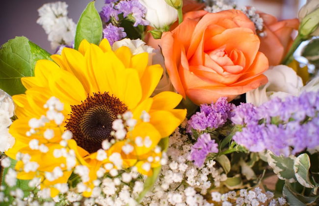 Agriturismo Ca' de' Gatti - Photo 66