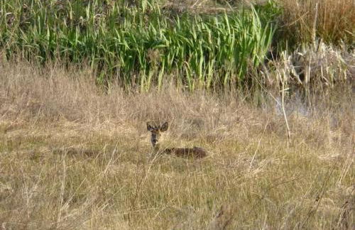 Blackside Cottage - A Luxury Rural Retreat - Foto 25