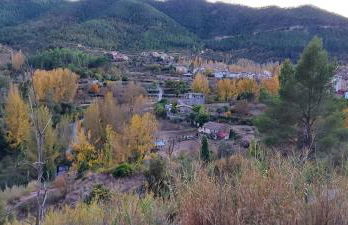 LA MANDUCA - Foto 37