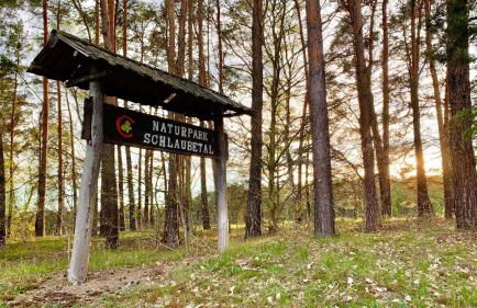Naturnahe Gästewohnung im Heidelandhaus Henzendorf - Foto 23