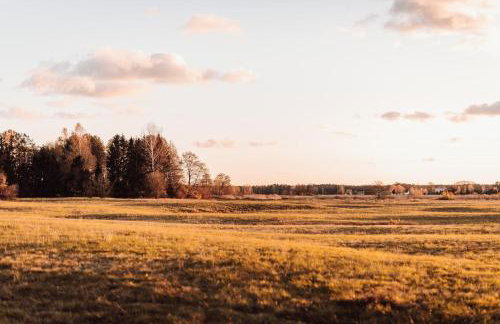 W Południe Lata - Foto 22