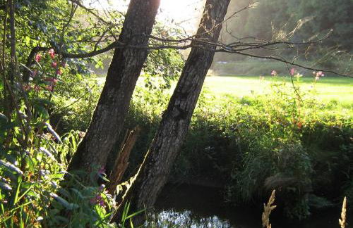Ferienhaus zur Weinlaube - Foto 19
