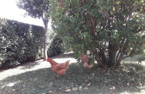 Agriturismo Le Chiare Stelle - Foto 29