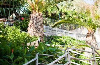 Pantheon Studios - Foto 20