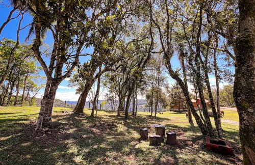 Chalé dos Coqueiros em Nova Petrópolis - Foto 15