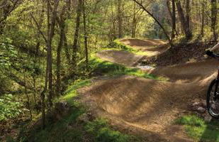 Modern King BR, Sectional, Pool, Gym, Near U of A - Foto 53