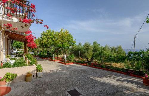 BUENA VISTA studios - Foto 46