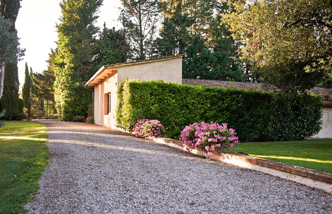 Bardeggiano - Caterina 8 (COL243) - Foto 28