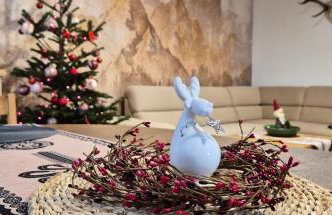 Domek Golasówka - Foto 42