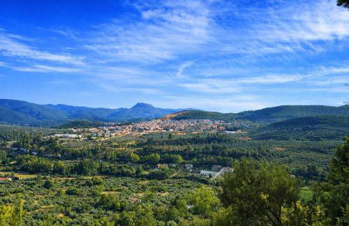 Casa Rural Doña Carmen - Foto 44