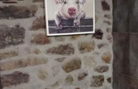 Apartamentos la casa de los ríos - Foto 73