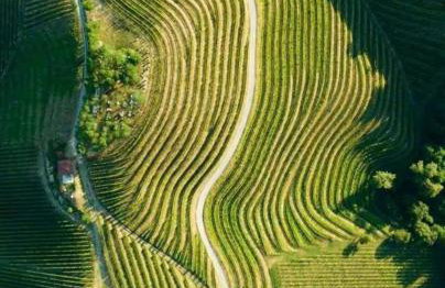 Holiday Home Medimurski Ceker - Foto 54