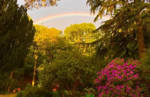 Enchanting Lodge, Cosy Hidden Gem with Woodburner - Foto 33