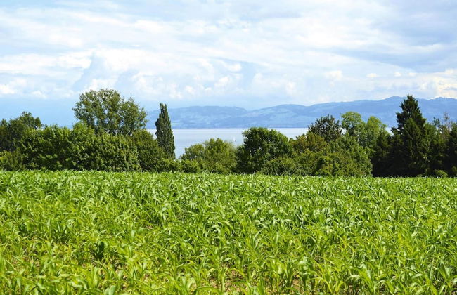 Holiday Park, Immenstaad - Foto 73