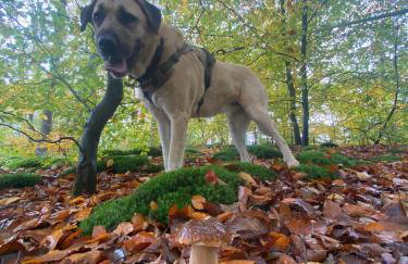 Master Camp Santoczno - Foto 54