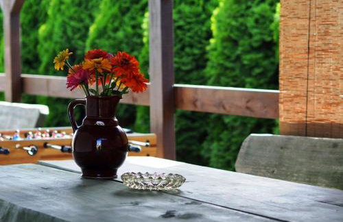 Dom w Janowcu z widokiem na zamek - blisko Magiczne Ogrody - Foto 20