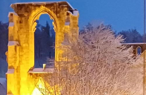 Ferienwohnungen Klosterblick - Photo 26