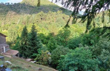 Gîte et jardin en bord de rivière - Foto 20