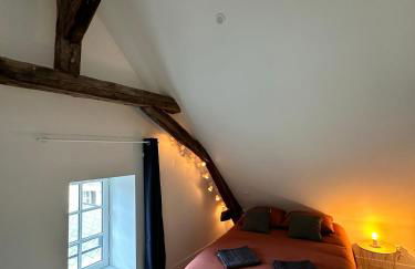 Appartement atypique et chaleureux - 1 chambre - Photo 8