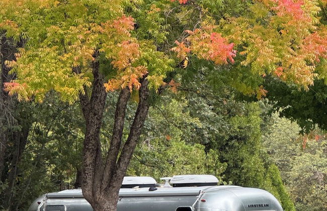 Outdoorsy Yosemite - Foto 23