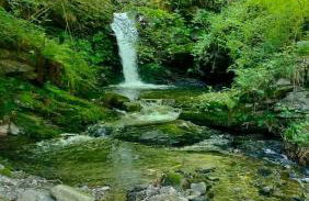 Bella Italia chalet - Foto 63