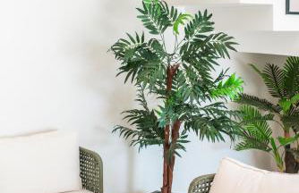 CASA TORRES - Photo 72