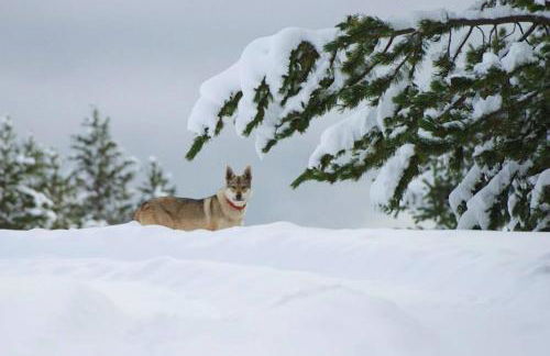 Turisme Rural Lo Pallé de Cal Bosch - Foto 51