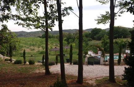 Finca La Favorita- Suites - Foto 55