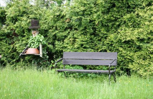 Ferienhaus-Maxen - Foto 14