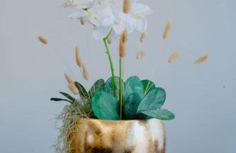 Villa Etoile - Foto 42