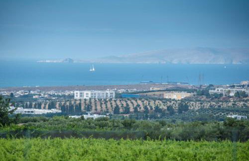 Cretan Vineyard Hill Villa 2 - Foto 32