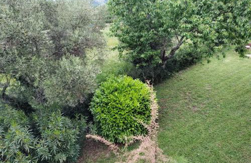 Spacious apartment QuAdria near Motovun - Foto 45