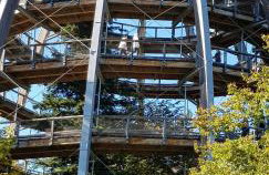 Ferienhaus Breit - Foto 12
