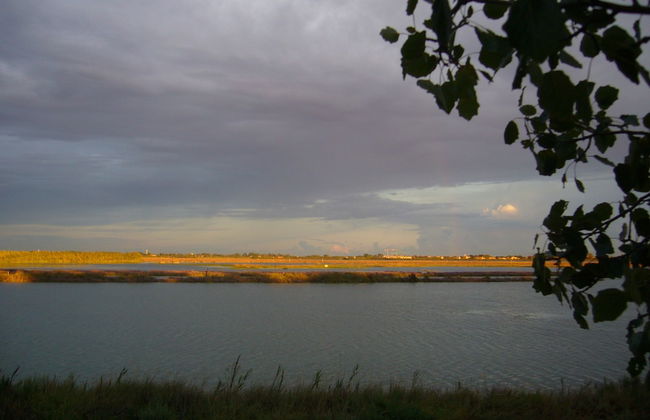 Agriturismo La Barena - Foto 67