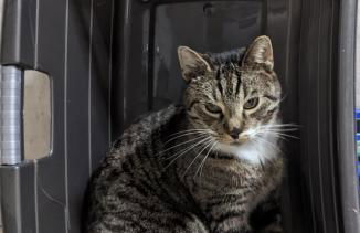 Landhaus "Kühler Morgen", komfortable FeWo mit Aussicht - Foto 22