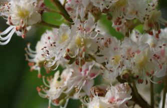 Klemmbachidyll - Photo 28