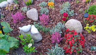 Domek nad jeziorem, a morze w gratisie - Foto 4