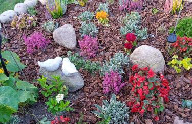 Domek nad jeziorem, a morze w gratisie - Foto 4