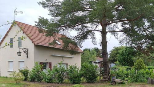 proche chateaux et zoo de beauval: gîte de sologne - Foto 4, Garden, Garden view