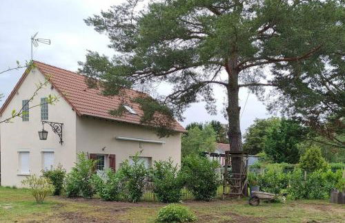 proche chateaux et zoo de beauval: gîte de sologne - Foto 4