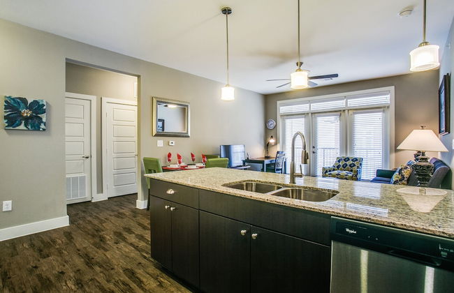 Frisco beautifully furnished 2 br apt - Photo 15