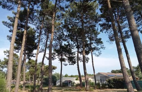 Santa Monta - Foto 32