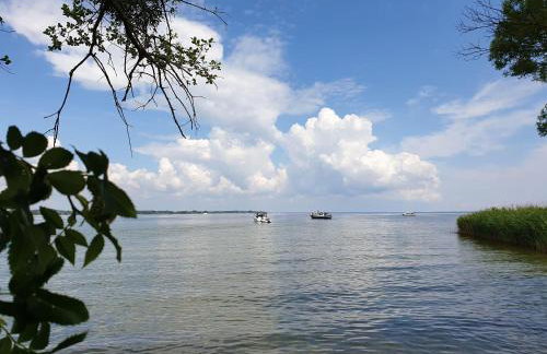 Ferienhaus-Hus-Stine-an-der-Mueritz - Photo 51