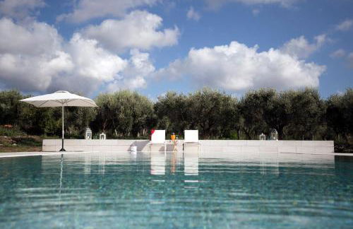 Gallo Fino - Foto 17