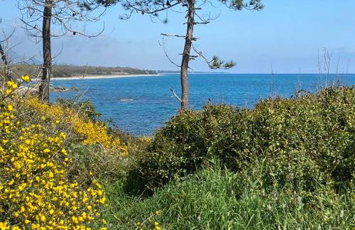 T2 VUE MER CORSE N193 - Foto 9