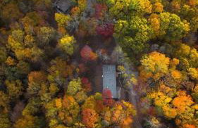 Idyll Reserve - Hocking Hills - Foto 67